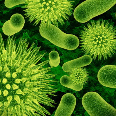 Microbiological Impurities